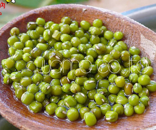 萬納农家自产绿豆250G/袋优质绿豆 五谷杂粮绿豆自产精选农家绿豆
