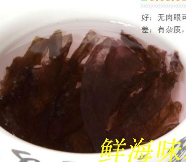 汕尾土特产纯天然野生紫菜海苔海飘