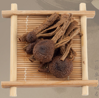 农家特产 茶树菇 干货