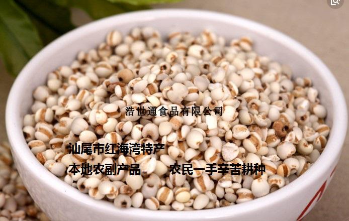 汕尾特产-薏米 薏米骨头汤用料 海丰最爱 洗选精选薏米 精细