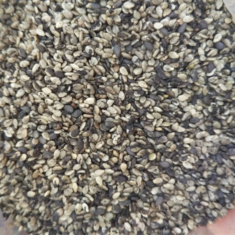 汕尾特产海陆丰特产生芝麻 擂咸茶配料 手工洗黑芝麻1斤装 生油麻