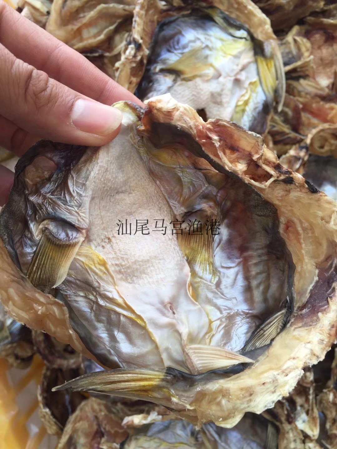 汕尾马宫特产潮汕人 乖脯河豚干 鱼干 乖补 面鱼