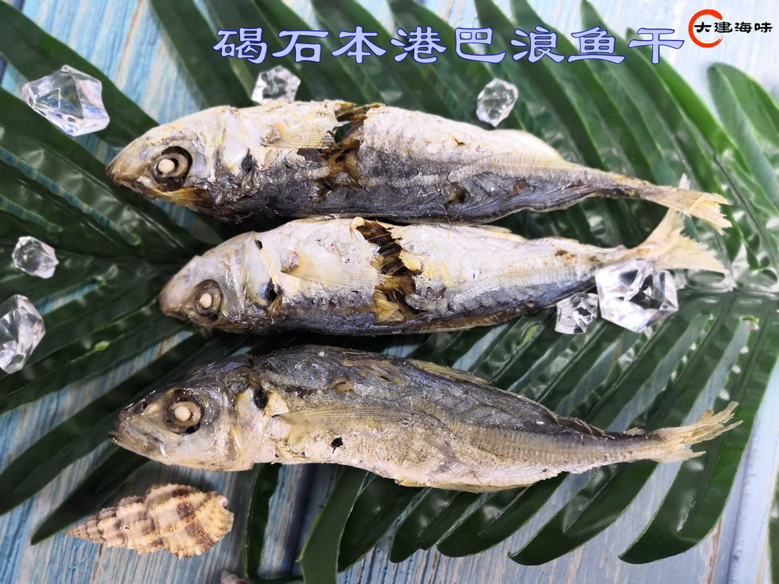 广东潮汕尾碣石特产渔家自晒淡干巴浪熟鱼干野生即食鱼干海鲜干货
