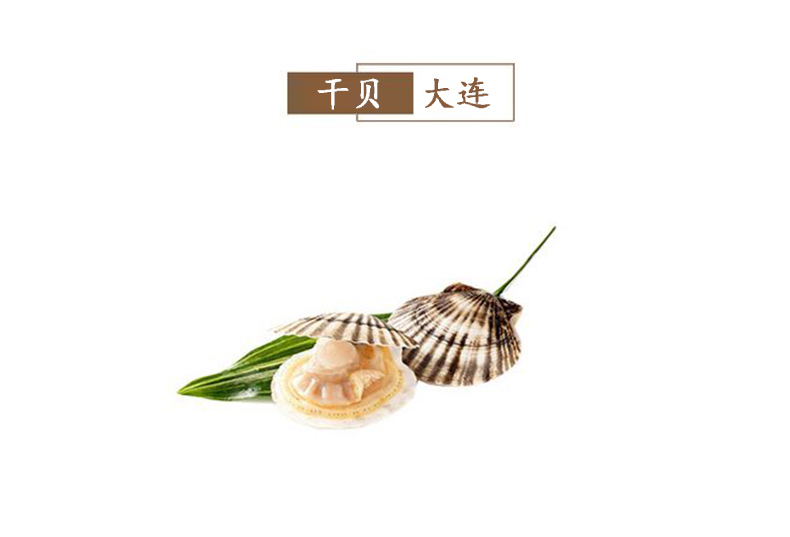 苏麻麻 大干贝新鲜瑶柱元贝淡干干贝扇贝丁特级海鲜干货250g