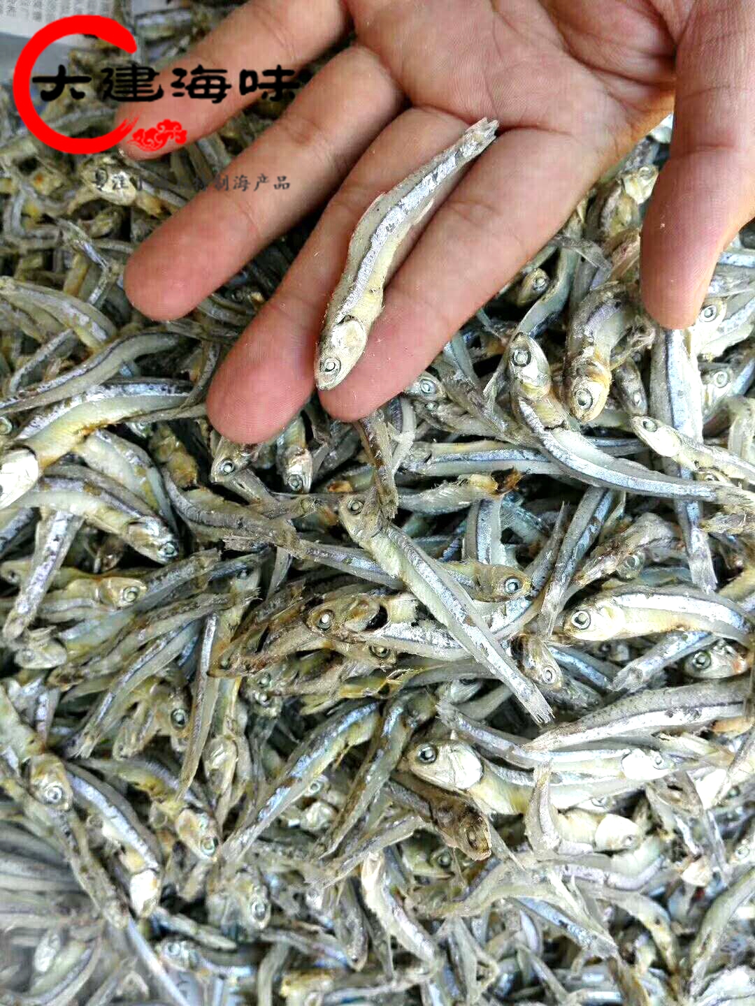 广东潮汕尾碣石特产小海鱼尧鱼仔250g银鱼干海鲜干货水产海味咸鱼