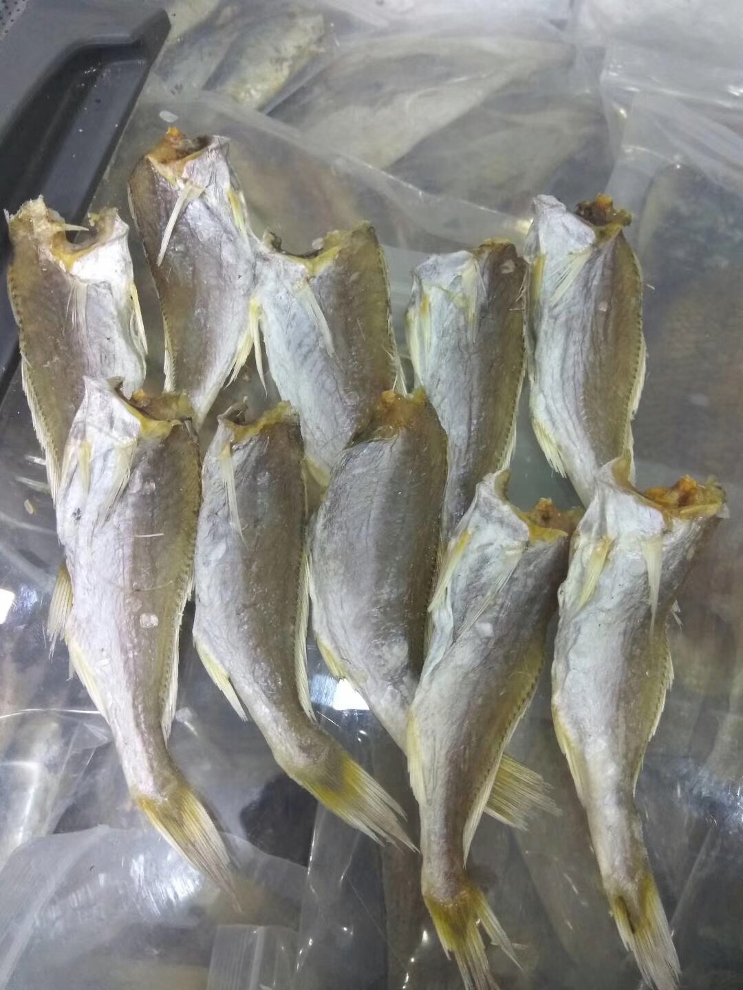 汕尾黄花鱼划鱼500g 广东潮汕特产地方特色年货小吃渔家自晒干货
