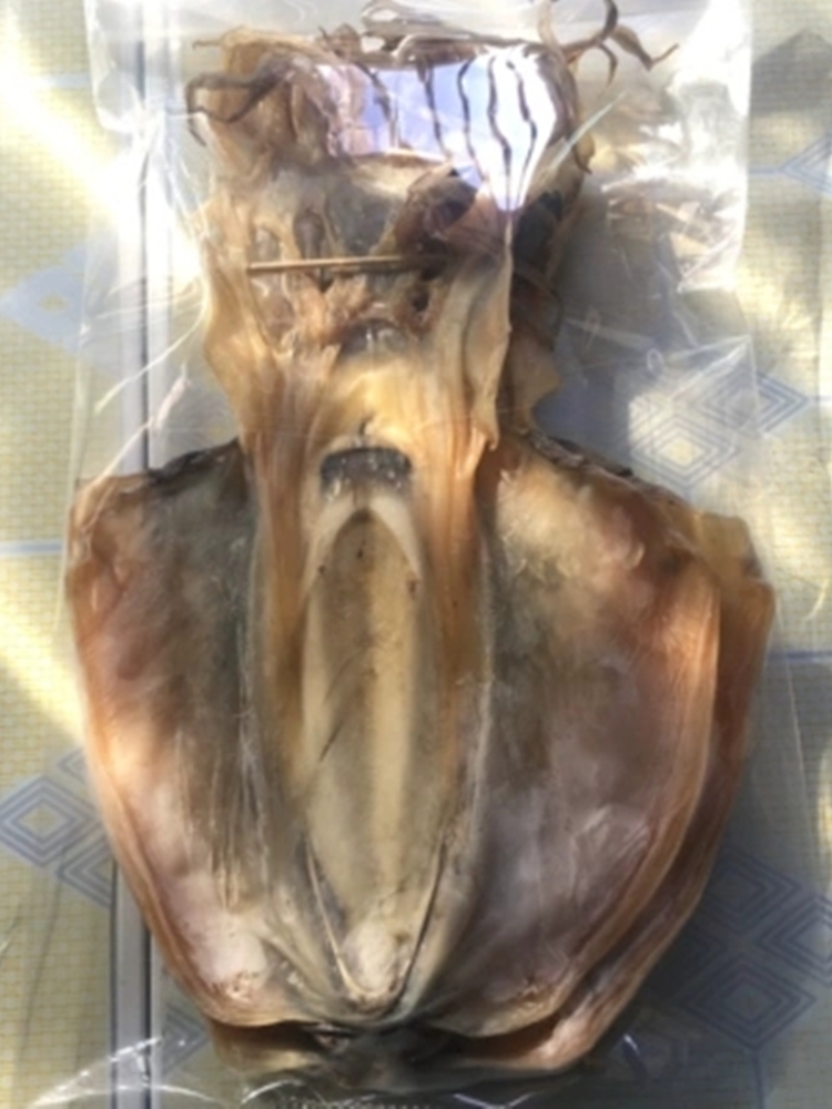 汕尾墨鱼干500g 广东潮汕特产地方特色年货渔家自晒海鲜本港干货