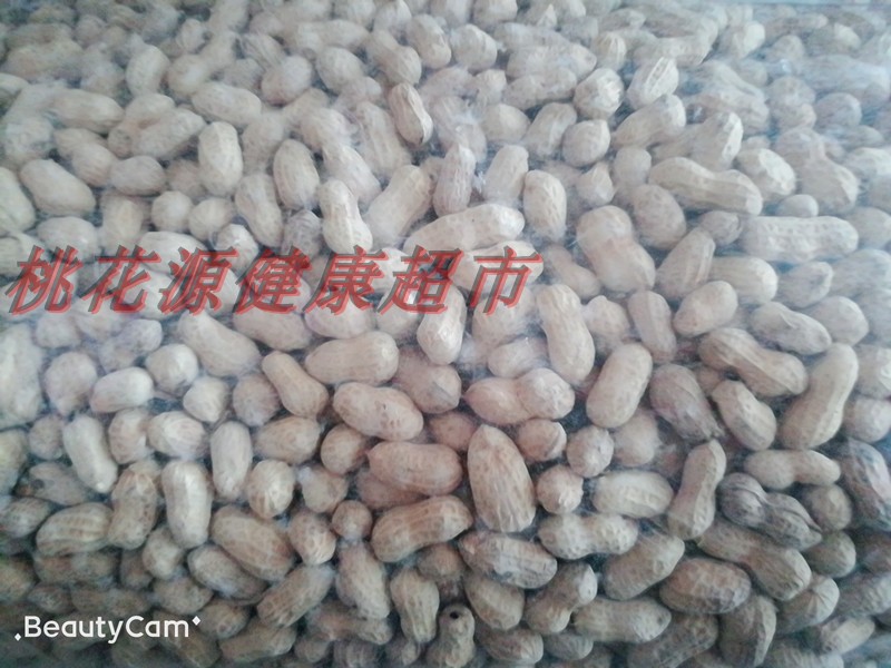 潮汕特产农家大花生米水煮咸干白晒湿烤带壳坚果炒货小吃零食年货