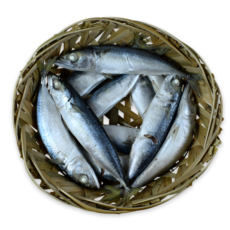 省级非遗鱼饭制作技艺潮汕特产花仙鲐鱼 海鲜即食达濠鱼饭500克