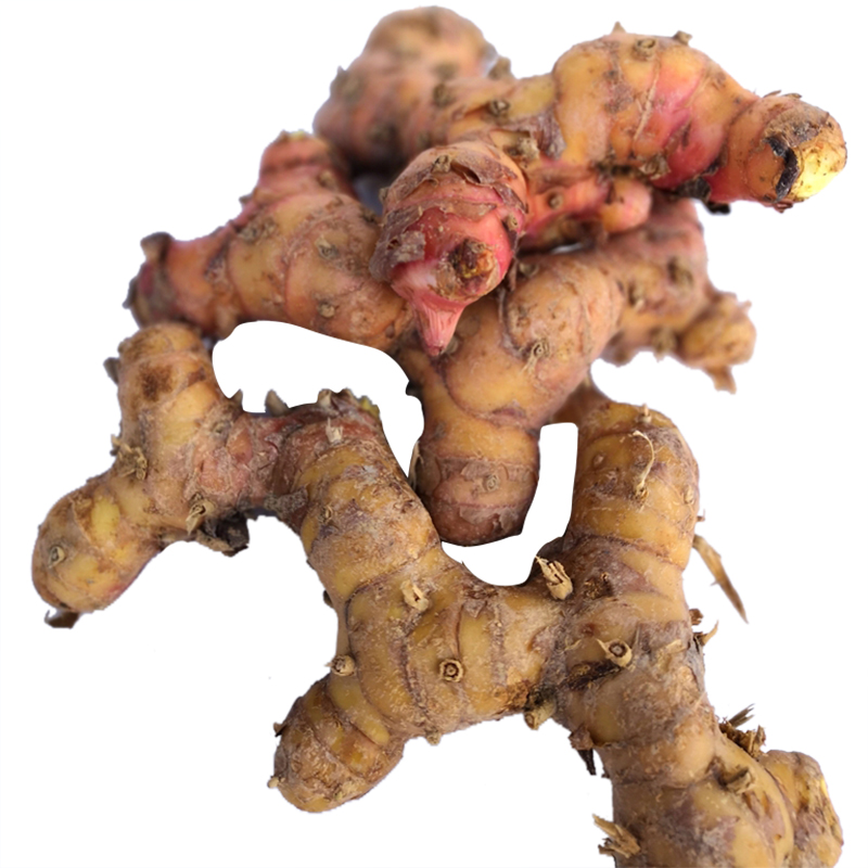 潮汕特产新鲜南姜个南姜块2500克炖卤腌牛肉火锅调味品老种南姜