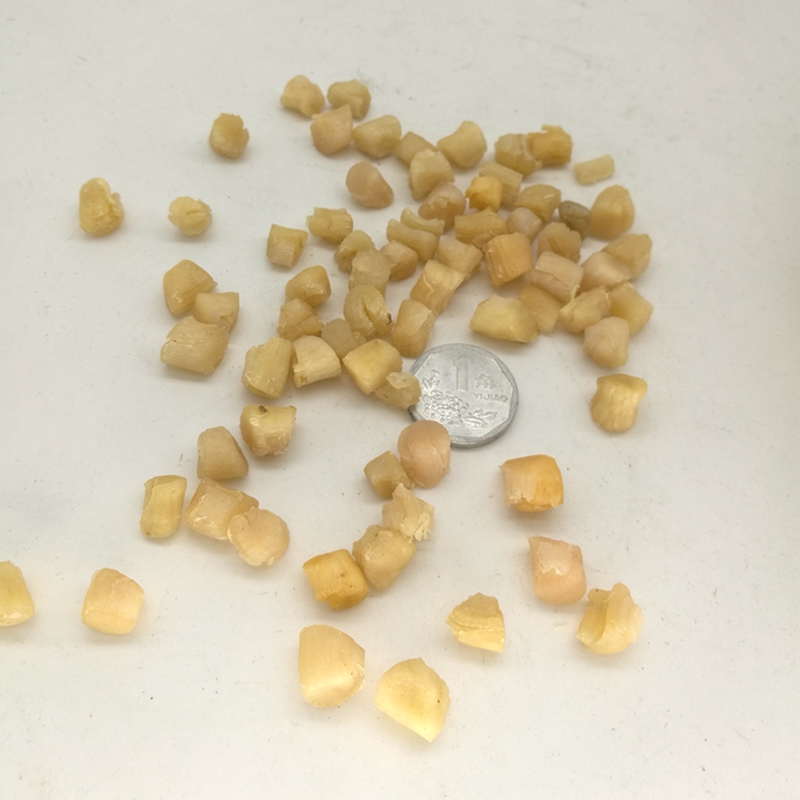 2份包邮潮汕特产新鲜干贝元贝瑶柱砂锅粥渔民自晒新晒鲜甜250克