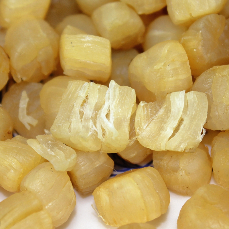 淡干小元贝干货干瑶柱野生干贝扇贝柱干肉摇柱干拍2份500g送虾皮