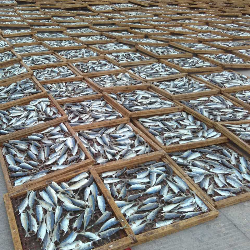 潮汕特产海产干货去头巴浪鱼干500g装即食海鲜鱼熟咸鱼