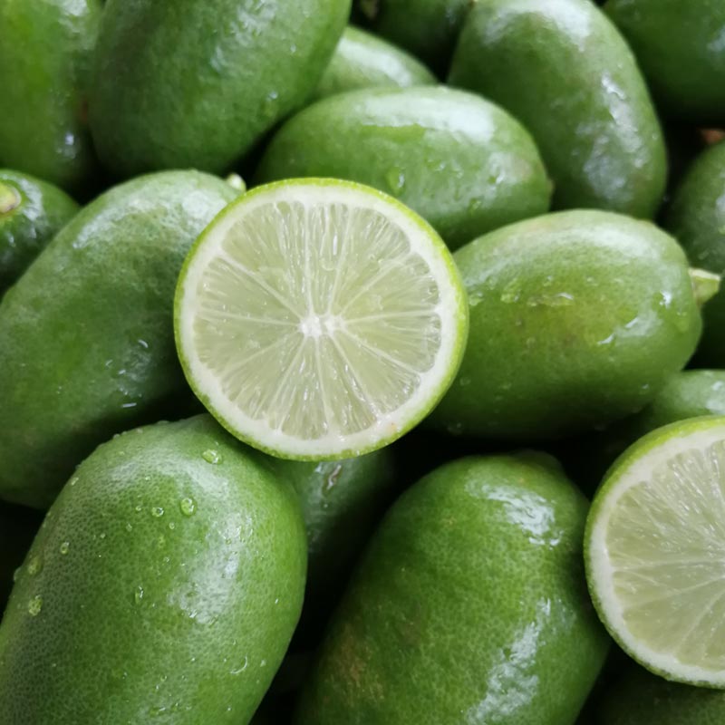 新鲜香水柠檬5斤台湾海南无籽香柠檬青柠檬水果奶茶店酸多汁清香