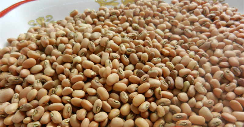 新农家燕麦米 燕麦片 燕麦粒 野麦雀麦 五谷杂粮 500g