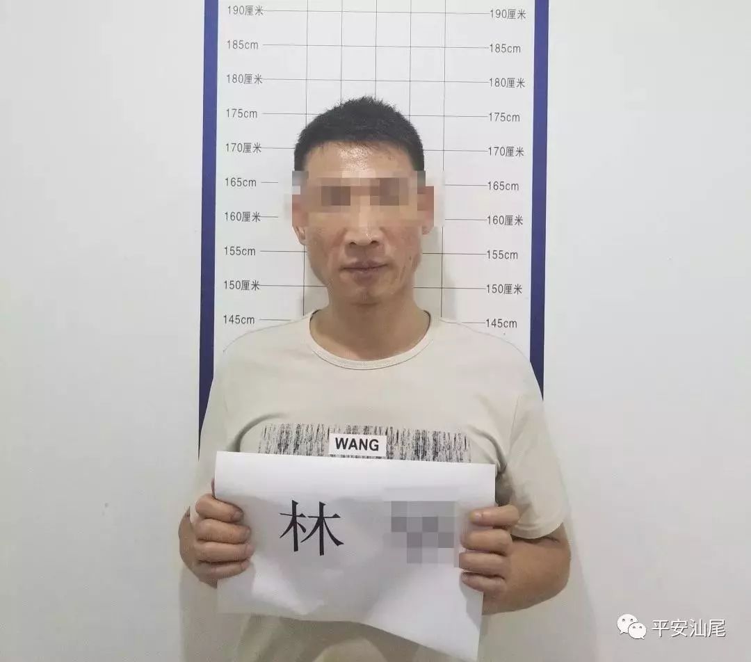 陆丰大安"12.08"开设赌场案!抓获涉案人员24人!